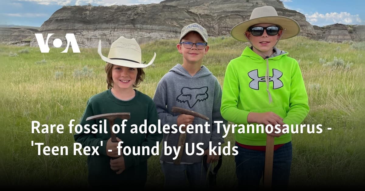 Rare fossil of adolescent Tyrannosaurus - 'Teen Rex'- found by US kids