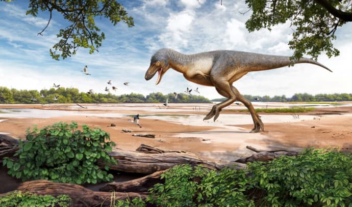 'Teen Rex': Rare fossil of adolescent Tyrannosaurus found by US kids