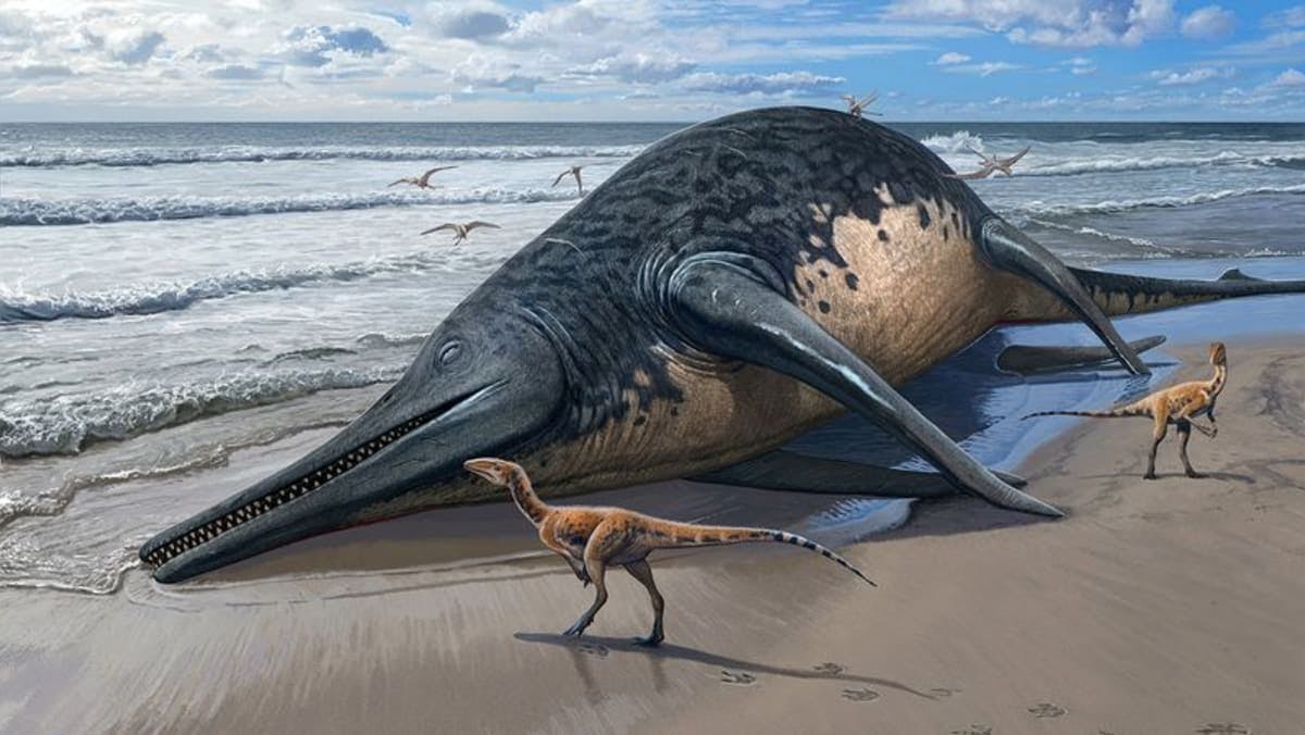 Gigantic marine reptile's fossils found by British girl and father